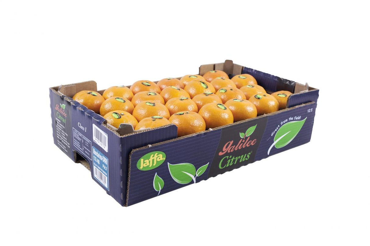 【ORRI】Israeli Sweet Orange