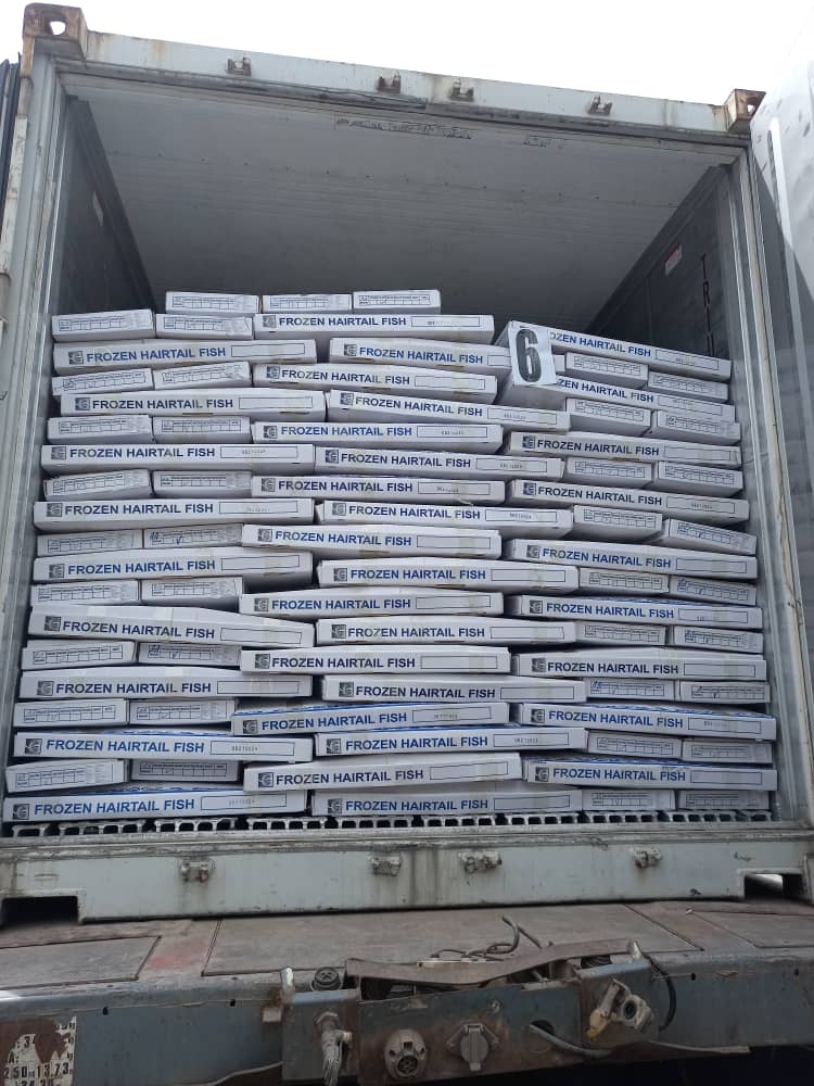 ❄️【北大西洋】野生钓带魚 1箱22磅