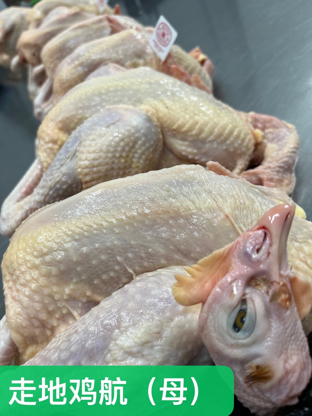 ❄️【Local】1 free-range chicken flight