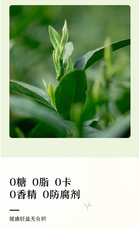 【农夫山泉】东方树叶 茉莉花茶 900ml*12大瓶