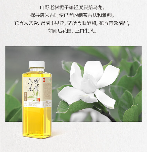 特价【果子熟了】栀栀乌龙茶 500ml*15