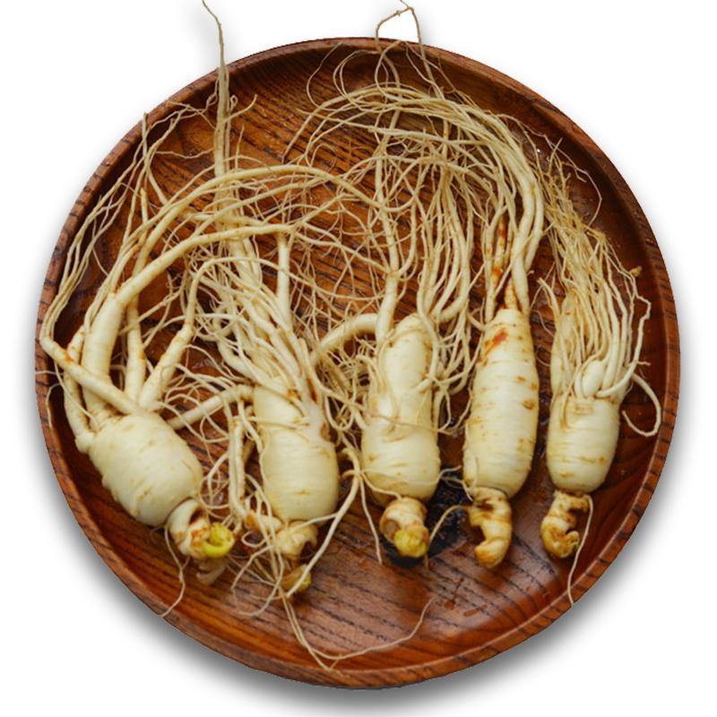 【Ontario】Fresh American Ginseng 3 pounds