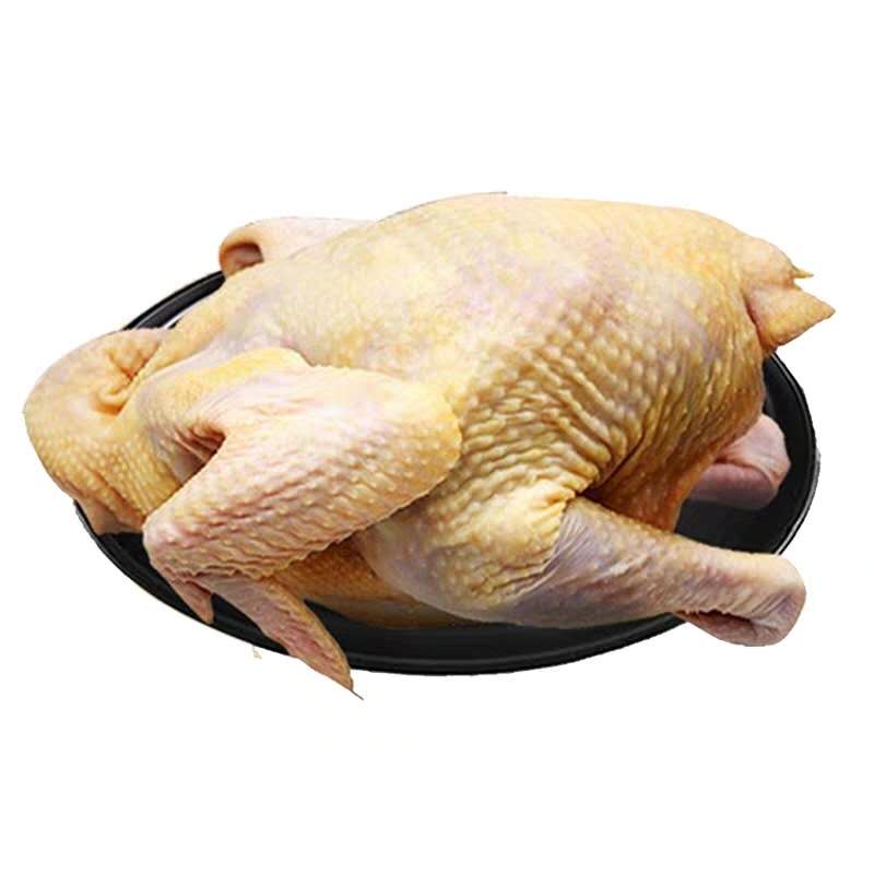 ❄️【Local】Farm old hens