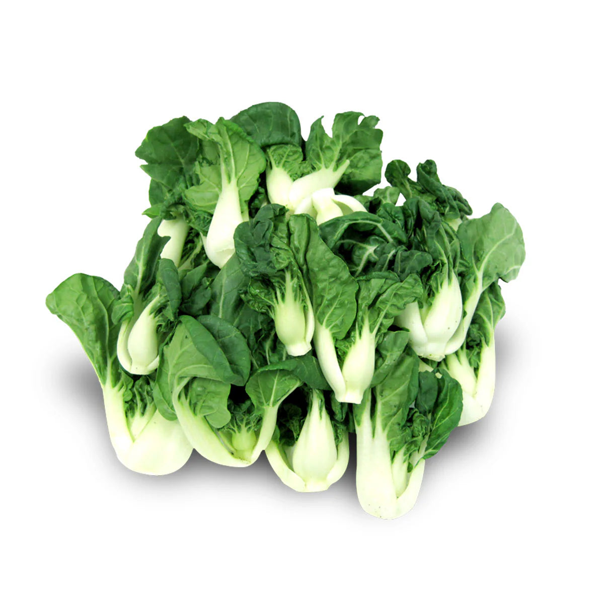 Fresh Butterfly Sprouts from Mexico