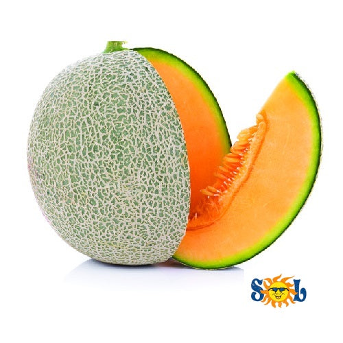 【S0L】Netted melon