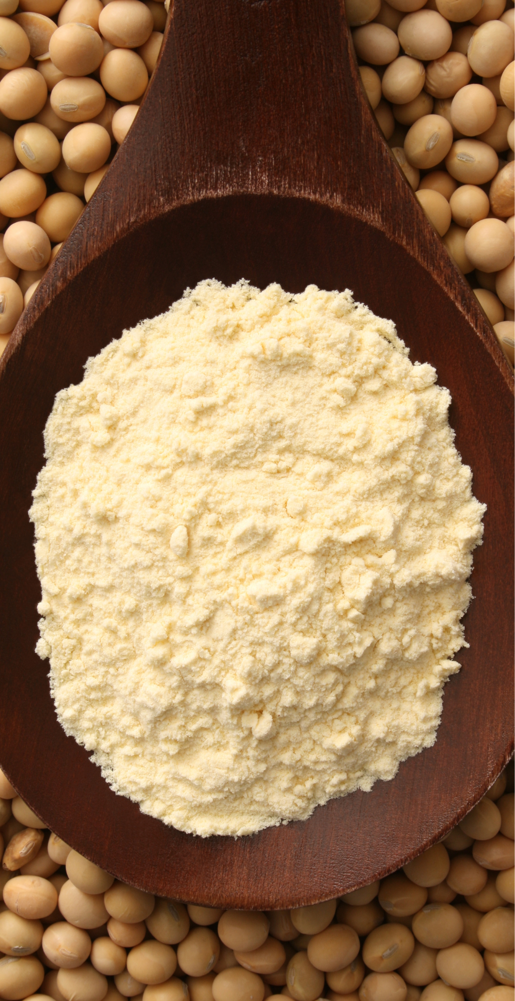 【美地农场】有机黄豆面粉