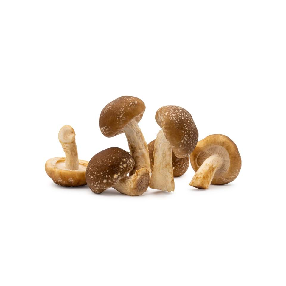 【Local】Organic Shiitake Mushrooms 1 Box 3 Pounds