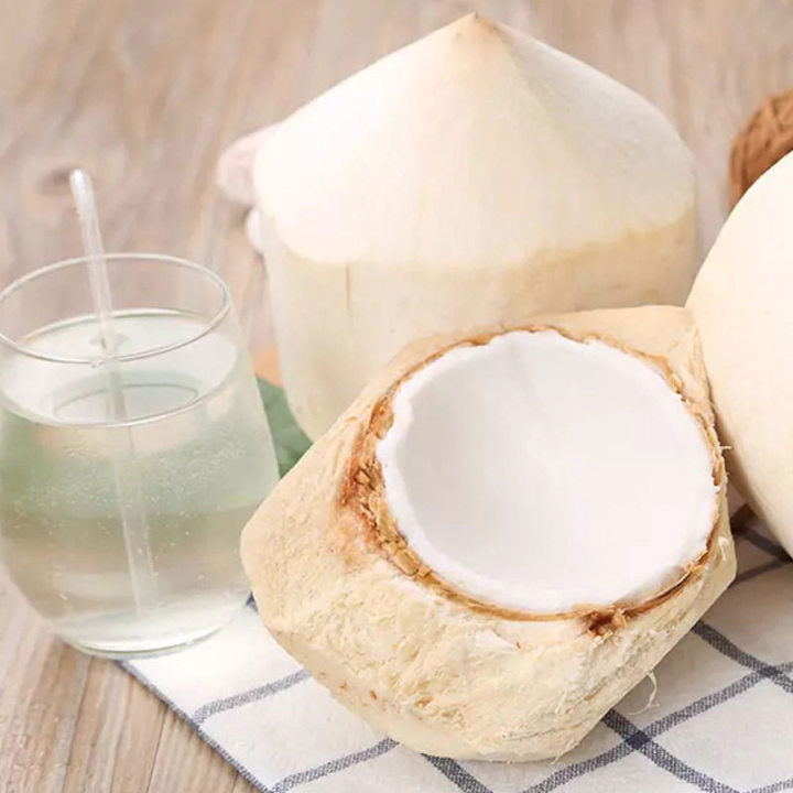 【Vietnam】1 box of 9 large coconut straws