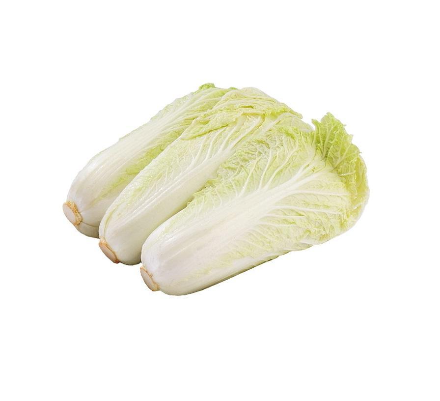 Fresh Taiwanese Napa Cabbage (Baby Cabbage) from Mexico
