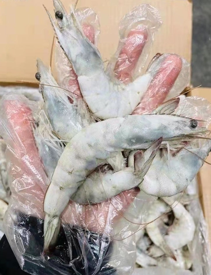 ❄️【Ace】IQF White Shrimp 40/50