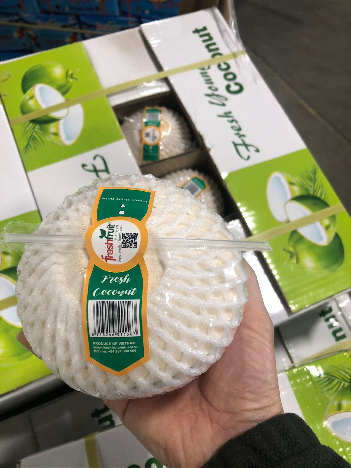 【越南】吸管椰青