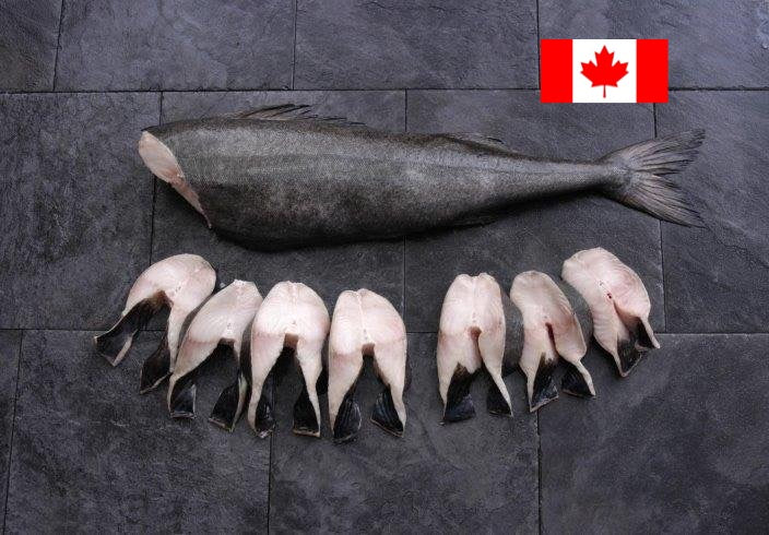 ❄️【加拿大】黑鳕鱼扒