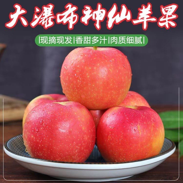【Local】Shenxian Apple 10 pounds