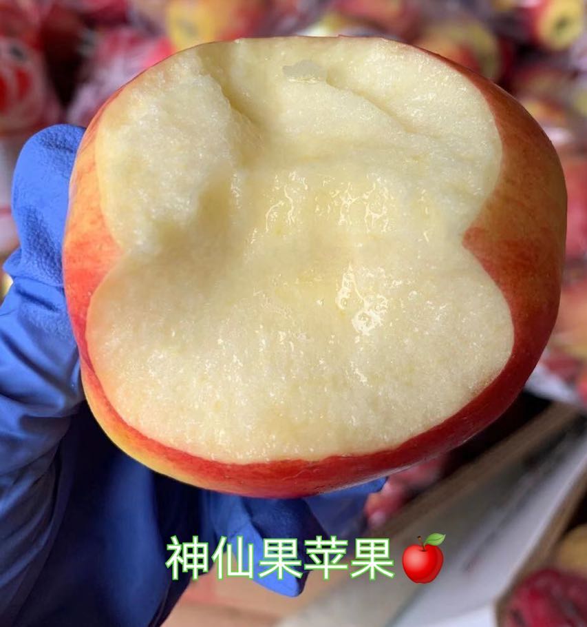 【Local】Shenxian Apple 10 pounds