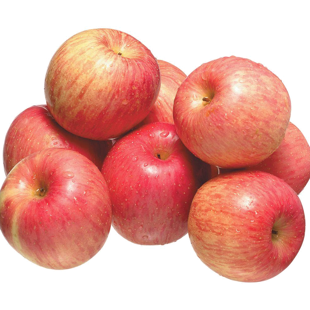 【Dalian】Fuji Apple 10 pounds
