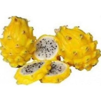 【Colombia】Air Freight Yellow Dragon Fruit 1 Box 2.5kg