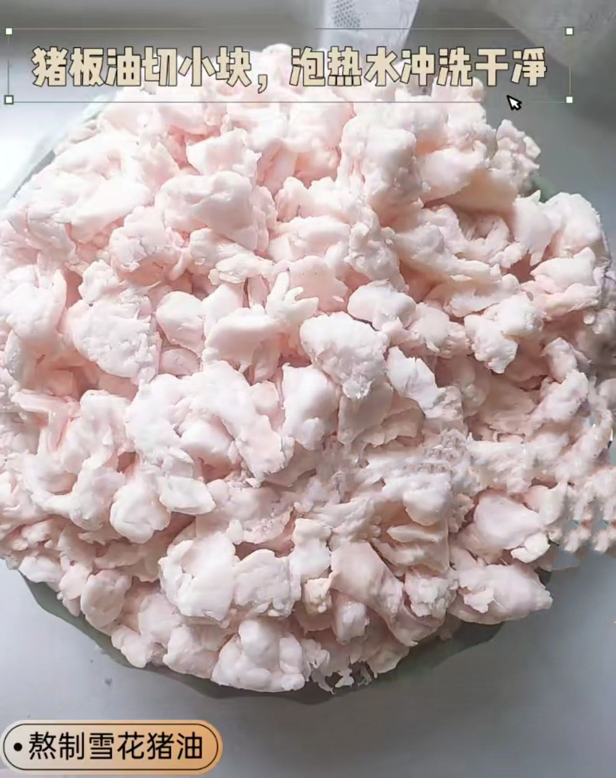 ❄️【ON FRESH】全自然豬板油5磅