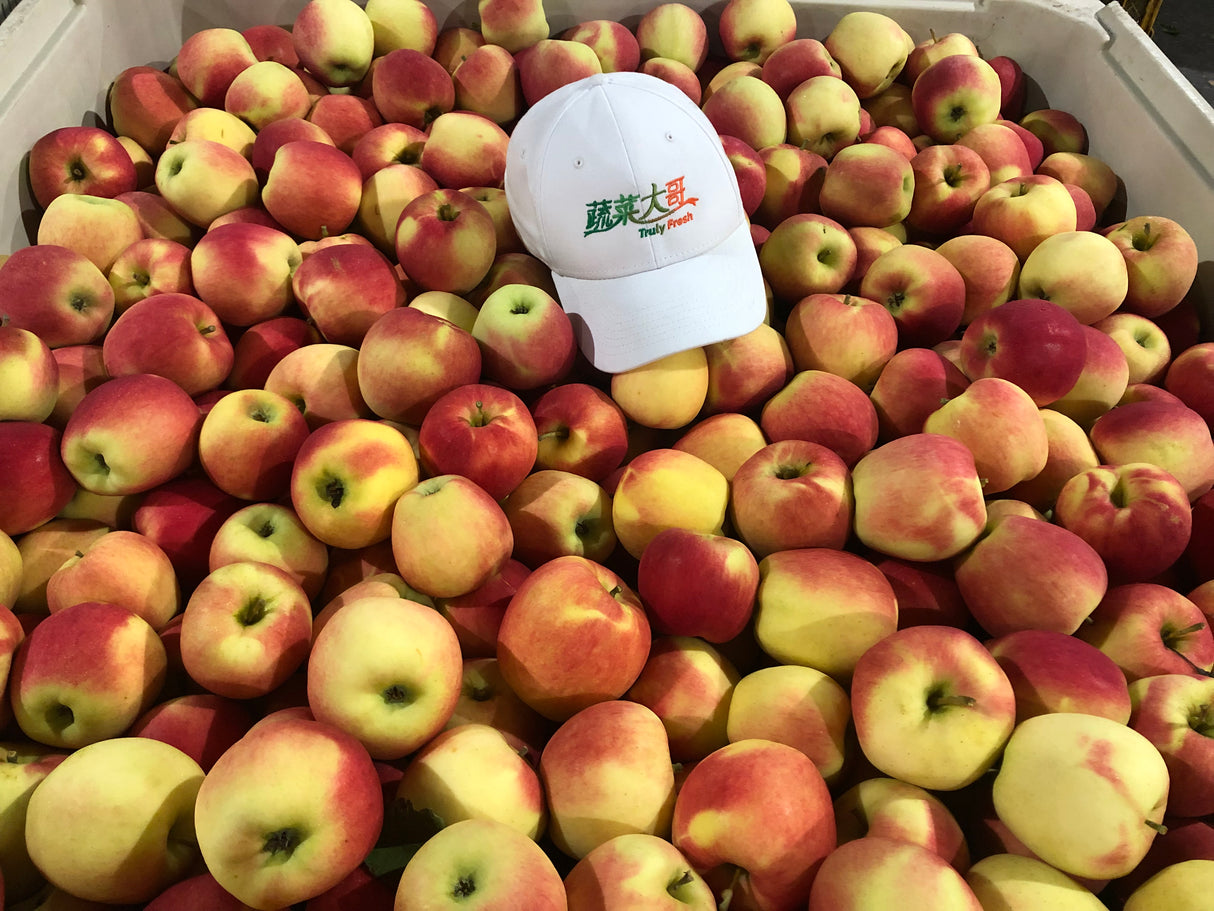 【Local】Shenxian Apple 10 pounds