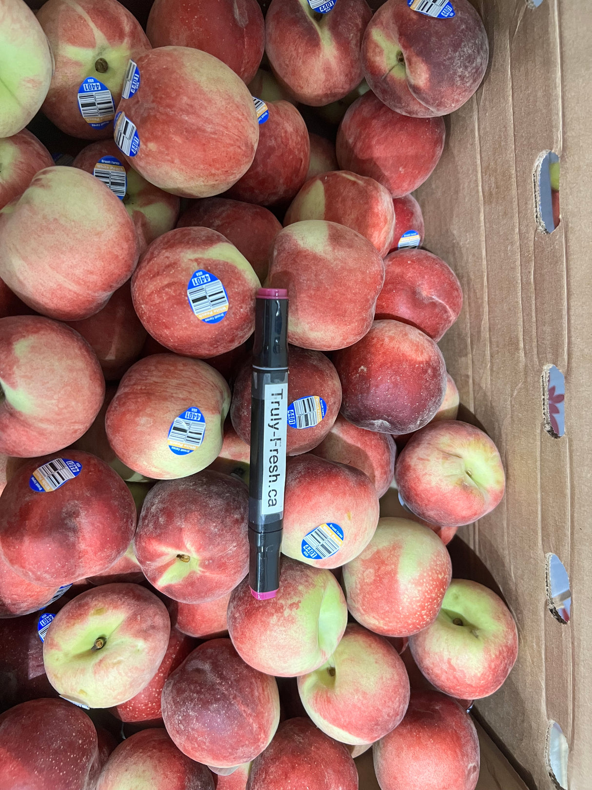 【USA】Hairy peaches 6 pounds