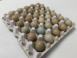 【Local】Wild eggs 1 plate 30 pieces