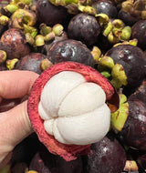 【Colombia】Fresh Mangosteen