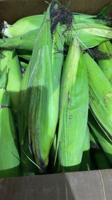 【Local】10 pieces of fresh glutinous corn