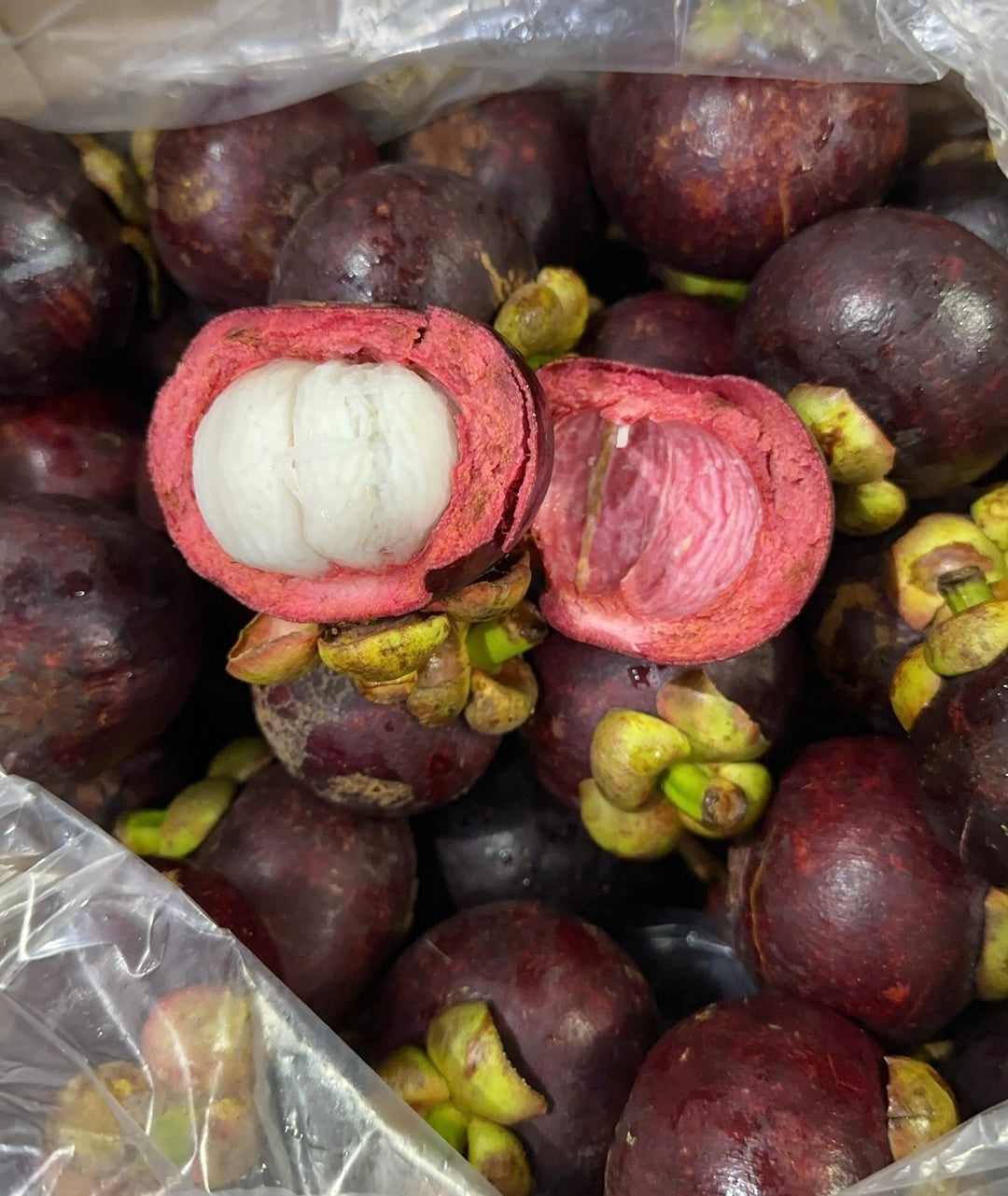 【Colombia】Fresh Mangosteen