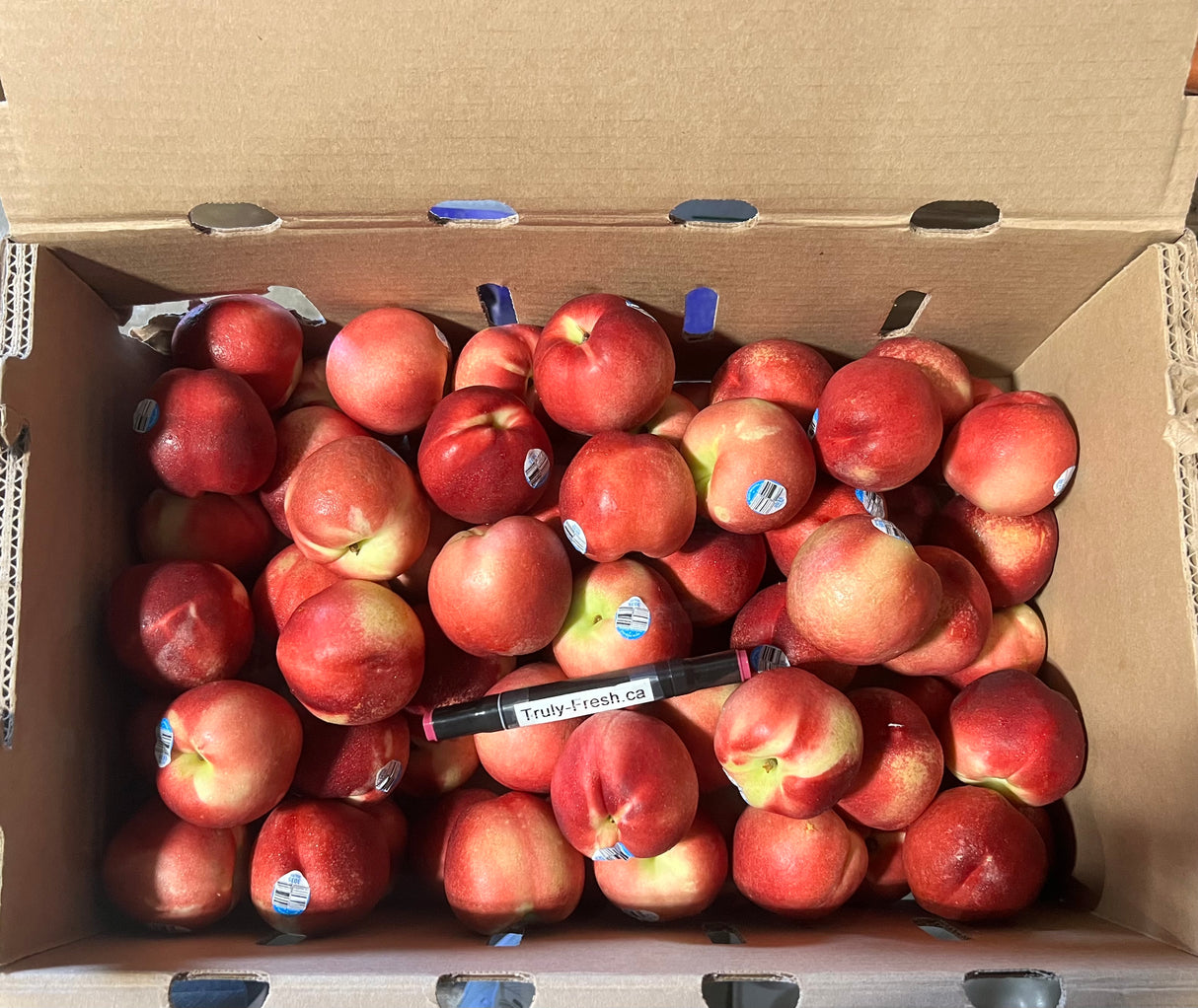 This week's special offer [USA] 3035 Hairless peach