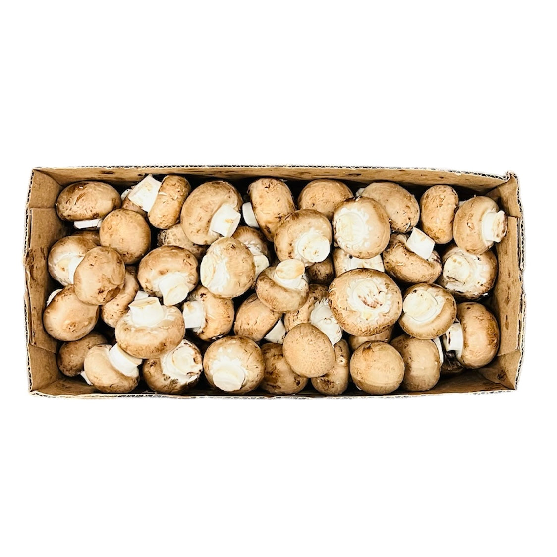 【Local】Coffee mushroom 1 box 5 pounds