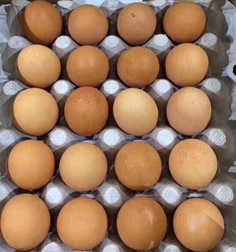 【本地】农场土鸡蛋 Jumbo Brown 1箱100个