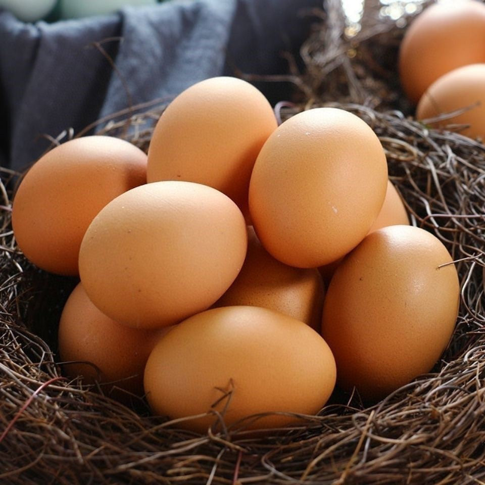 【Local】Farm free range eggs Jumbo Brown 1 box 100 pieces