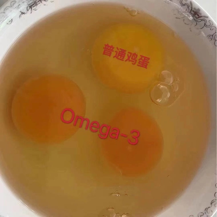 【Local】Farm Omega-3 Free Range Brown Eggs 12pcs*5boxes