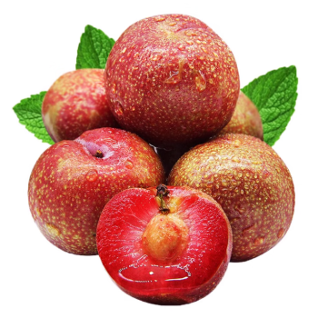 【USA】Sanhua plums 4 pounds
