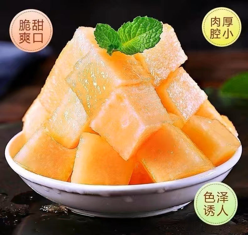 【HAMI】哈密瓜