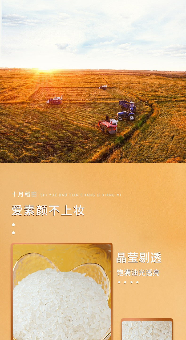 【October Rice Field】Long Grain Fragrant Rice 5kg