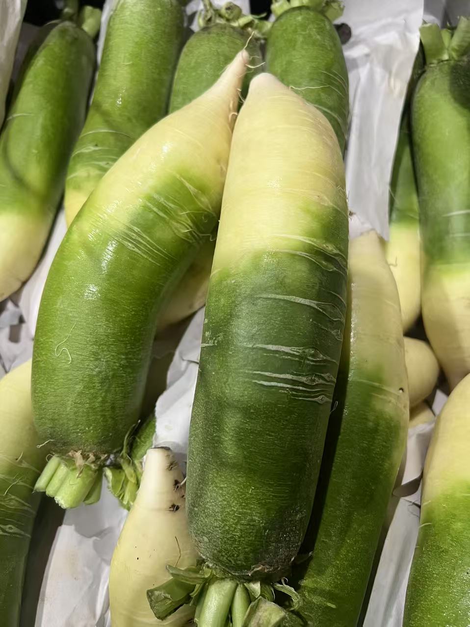 【China】Fruit Radish