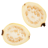 【QUINCE】榅桲 1箱7.4公斤