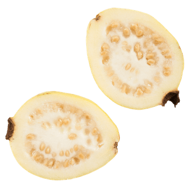 【QUINCE】榅桲 1箱7.4公斤