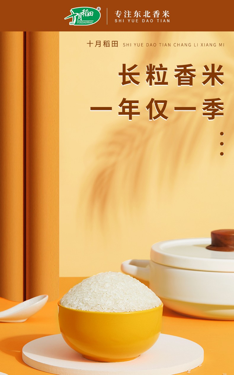 【October Rice Field】Long Grain Fragrant Rice 5kg