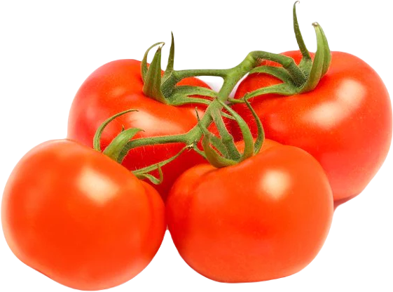 【Local】Fresh Tomatoes on Branches 1 Box 10 lbs