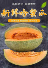 【HAMI】哈密瓜