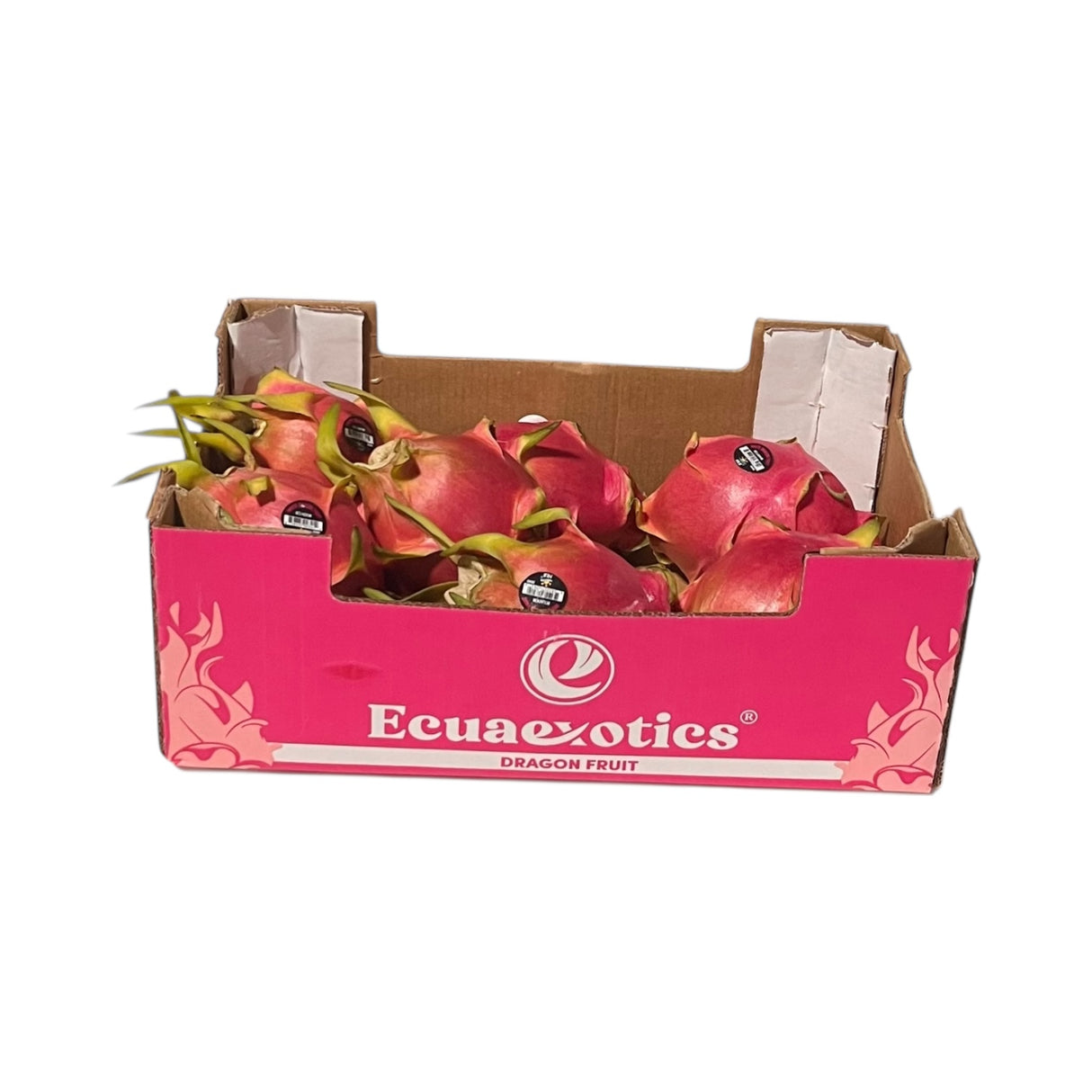 【厄瓜多】空運火龍果1箱10磅