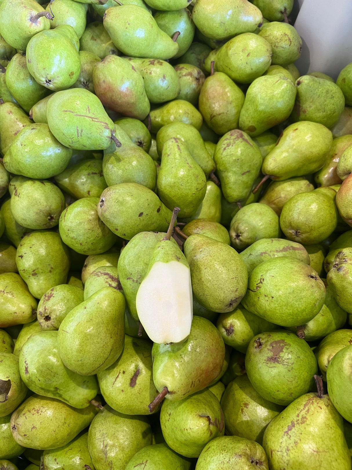 【Local】Bartlett Pears 10 pounds