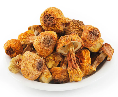 [MedeFarm] Organic Agaricus Blazei