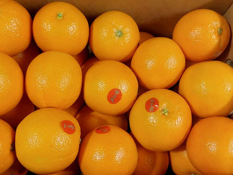 【Bluebird】Navel Orange 1 box 28 pieces