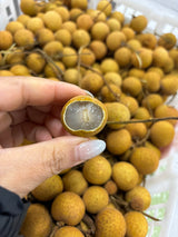 【泰国】龙眼