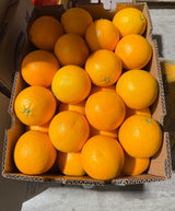 【MIDKNIGHT】甜橙