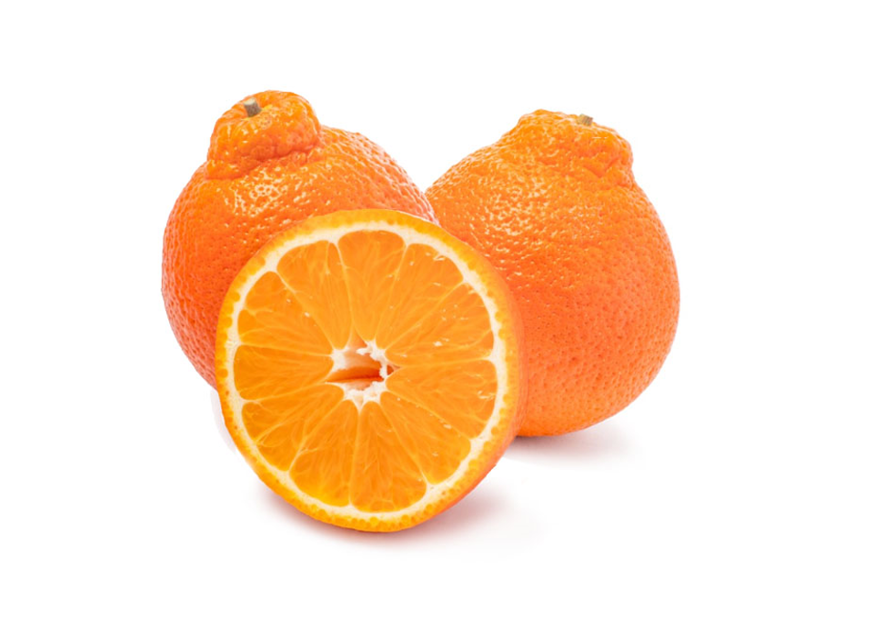 【MINEOLA】Mineola Orange