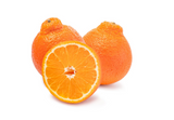 【MINEOLA】Mineola Orange