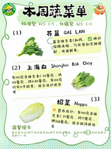 【TRULY FRESH】9 types of upgraded vegetable bags